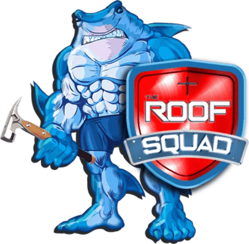 The Roof Squad